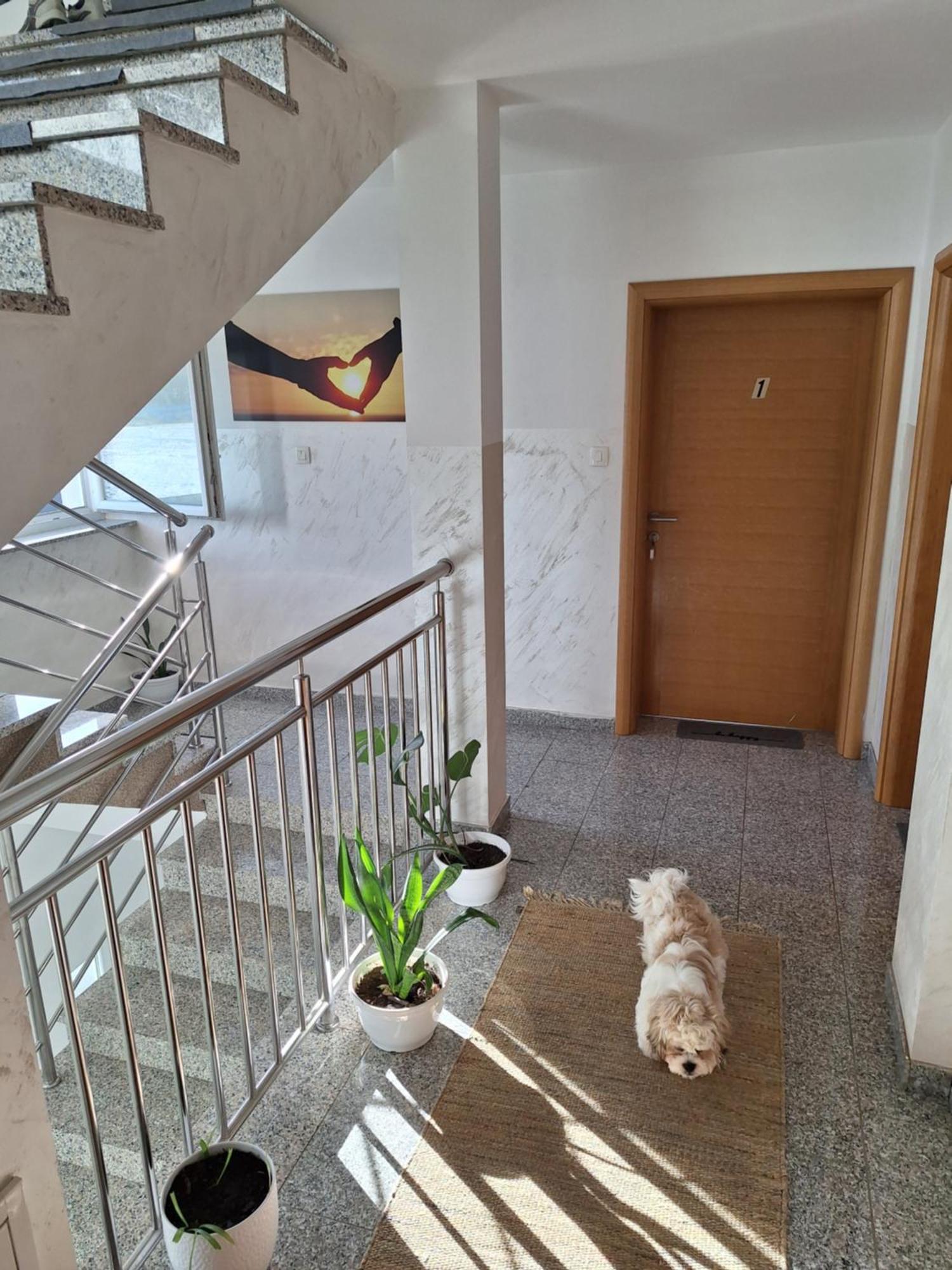 Sobe Sky Hotel Fužine Kültér fotó